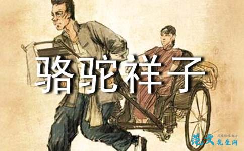 骆驼祥子读后感1000字