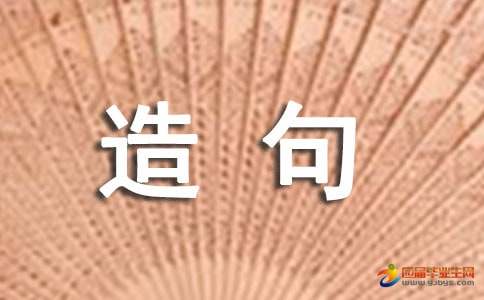 成语匹夫之勇的造句