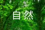 遼寧省森林和野生動物類型自然保護區管理實施細則