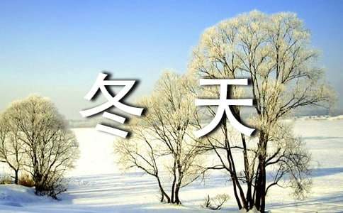 （热门）写景冬天作文4篇