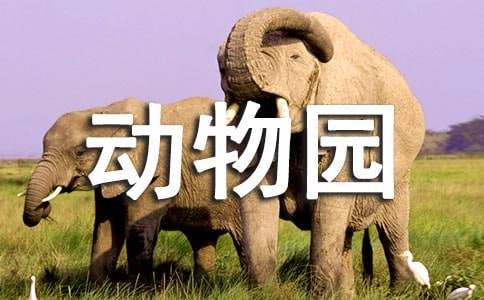 【精华】游北京动物园作文7篇
