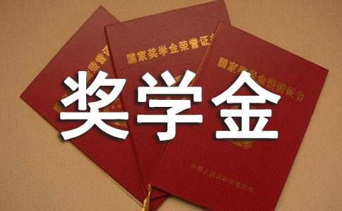 新加坡管理大学留学可申请奖学金的种类