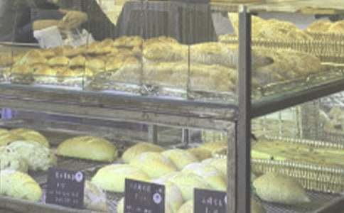 面包店创业计划(合集15篇)