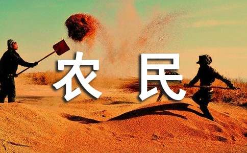 安徽省農民工勞動合同
