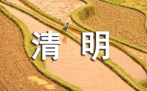 2022年清明节创意主题活动方案(精选9篇)