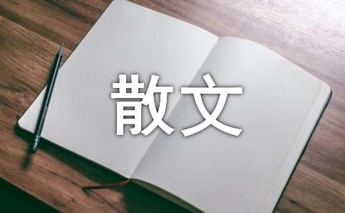 落雪無言散文詩集