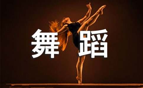 体育舞蹈培训机构研究论文
