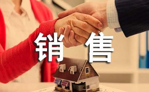 大學(xué)生彩電銷售員社會實踐報告