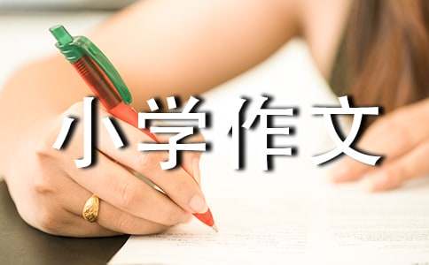 【精】雪小學(xué)作文