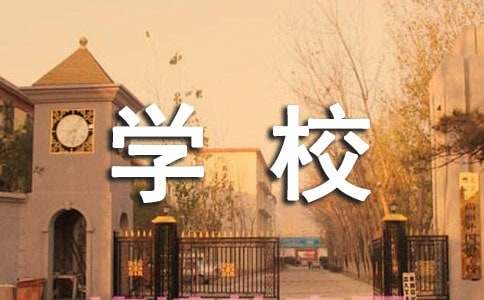 學校總務主任述職報告