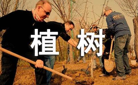 乡镇义务植树活动方案