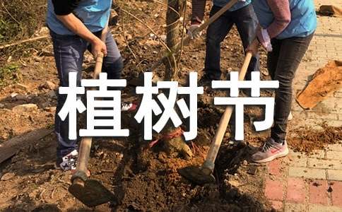 【热门】植树节活动方案汇总7篇