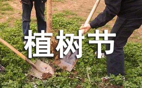 大班植樹節(jié)總結(jié)(精選5篇)