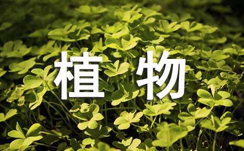 【热门】植物观察日记范文九篇