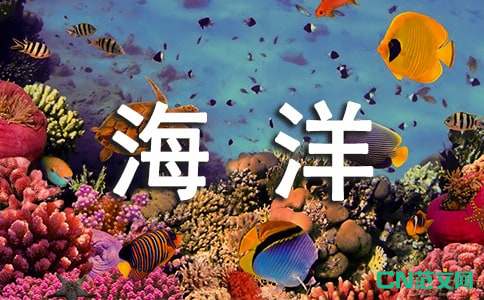 海洋奇缘主题曲 海洋之心 歌词