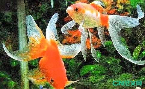 Сѧ����ѧ������̰�