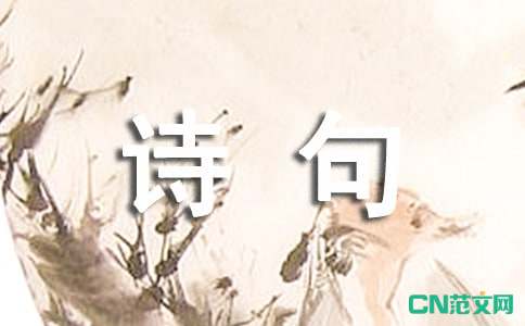 经典诗句人生得意须尽欢的下一句