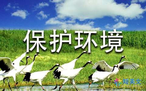 保护环境从我做起作文 精选14篇