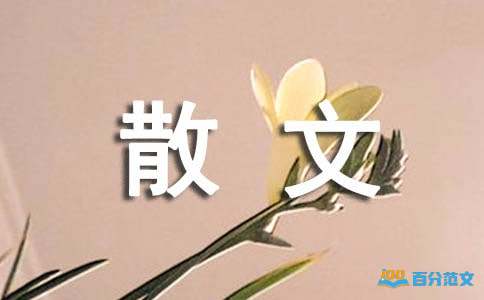 感谢那个为我提灯的人散文