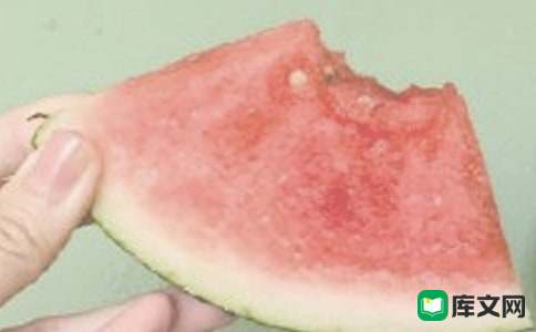 夏日的那一抹橙色作文