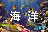 海洋之歌观后感