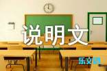 说明文土豆作文汇总九篇
