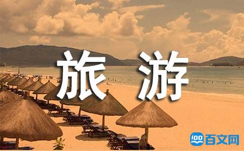 ������������������㱨����