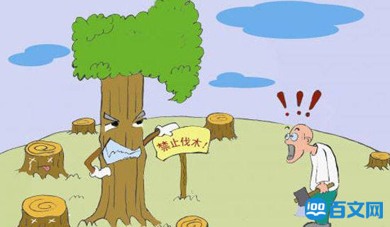 ��������ר������ʵʩ����