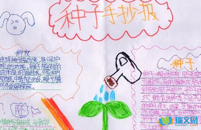 ���ӳɳ����ֳ���