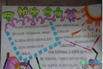 珍爱生命手抄报 珍爱生命手抄报