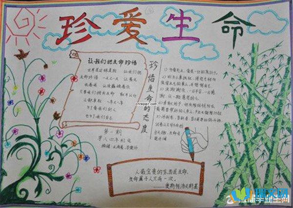 二年级尊重生命手抄报