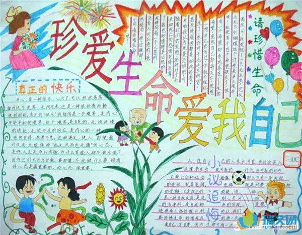 二年级尊重生命手抄报
