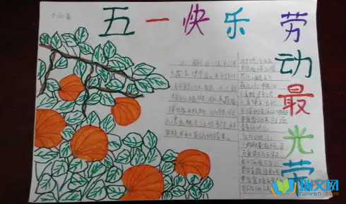 �Ͷ�������ֳ���