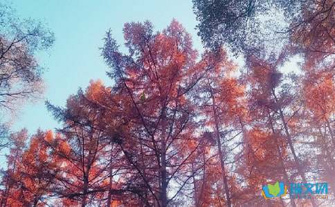 �����ո�����������¥��ȫʫԭ�ļ�����