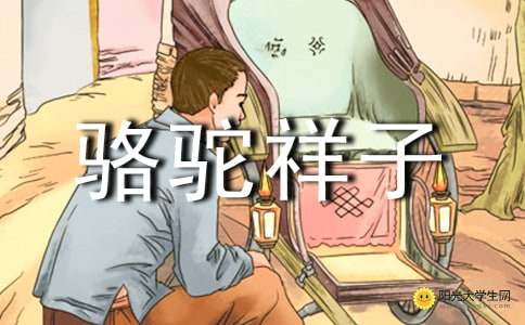 七年级语文骆驼祥子文章知识点