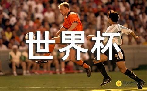 关于世界杯的随笔：品味泪水