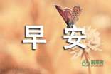 ܰ簲QQ58