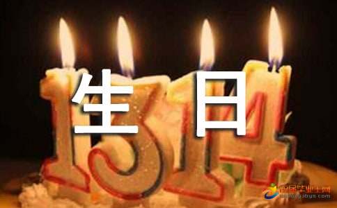 2015小学生日记格式