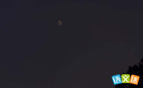 ���ڷ������ĵľ�����������