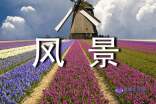 ·ϵķ羰