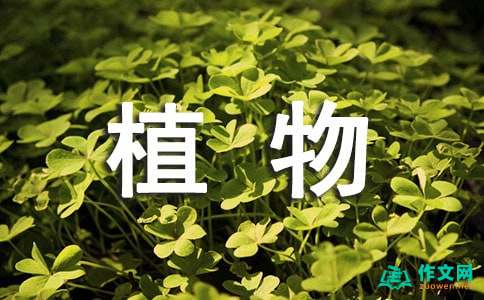 关于五年级植物作文汇编9篇