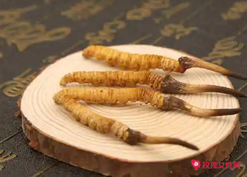 冬虫夏草的正确最佳吃法