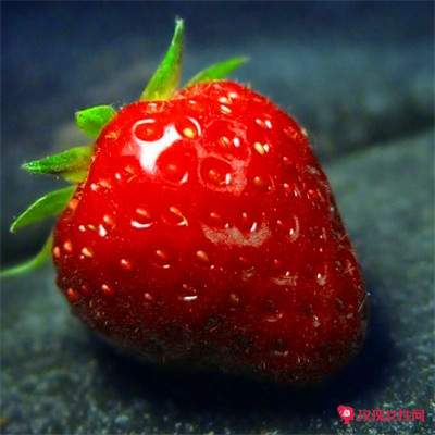 ��������Ů�������־۲Ƶ�΢��ͷ��ͼƬ