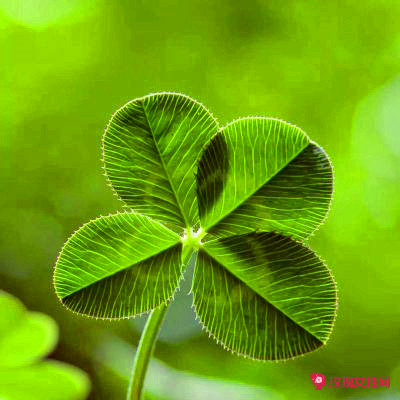 ��������Ů�������־۲Ƶ�΢��ͷ��ͼƬ