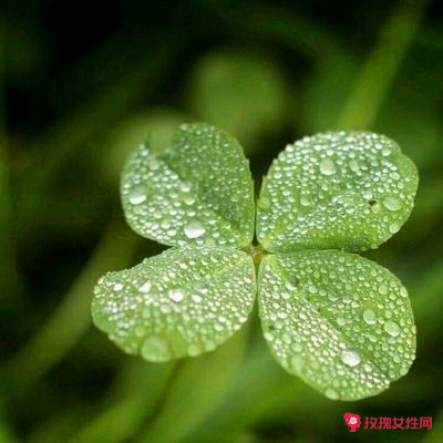 ��������Ů�������־۲Ƶ�΢��ͷ��ͼƬ