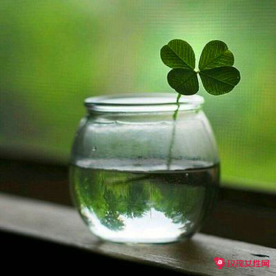 ��������Ů�������־۲Ƶ�΢��ͷ��ͼƬ