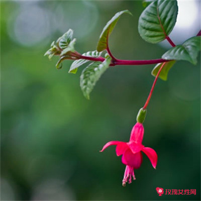 ��������Ů�������־۲Ƶ�΢��ͷ��ͼƬ