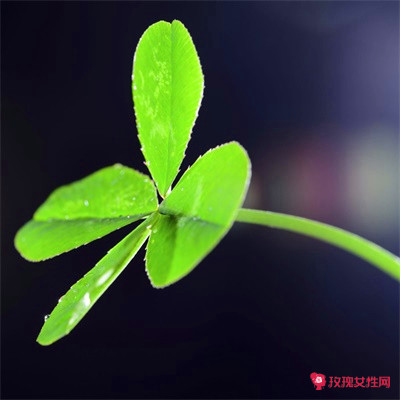 ��������Ů�������־۲Ƶ�΢��ͷ��ͼƬ