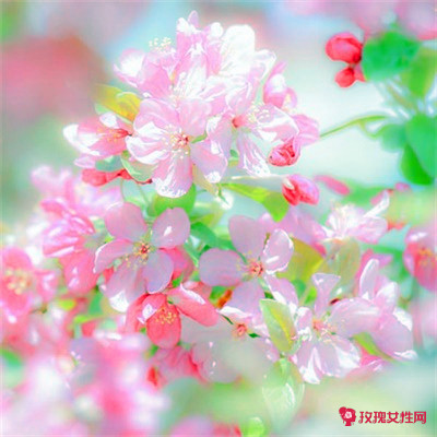 ��������Ů�������־۲Ƶ�΢��ͷ��ͼƬ