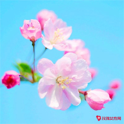 ��������Ů�������־۲Ƶ�΢��ͷ��ͼƬ